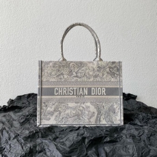 Christian Dior Shopping Bags